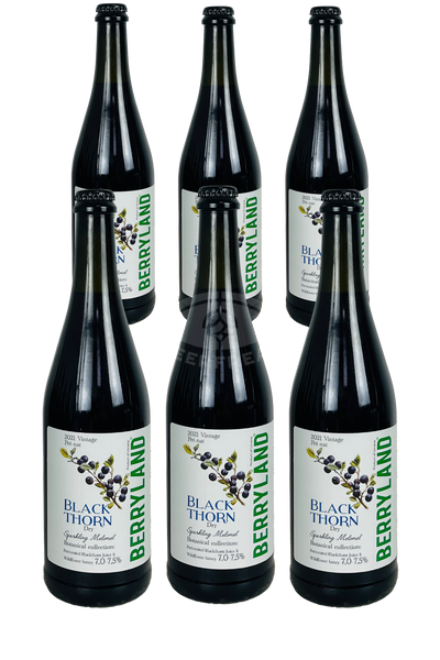 6 пляшок Blackthorn Sparkling Melomel від Berryland