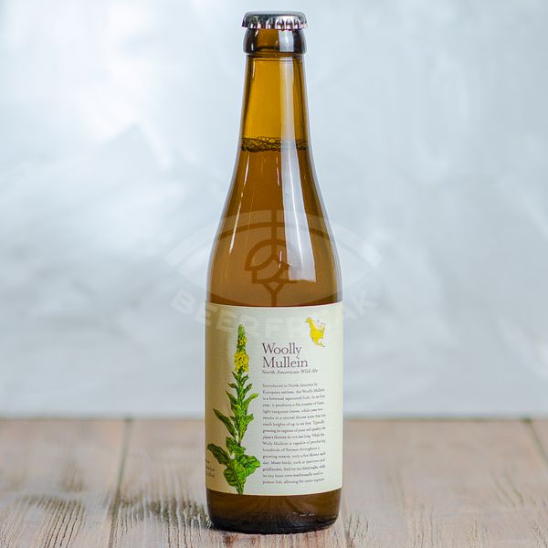 Trillium Brewing Company Woolly Mullein